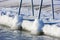 Swimming dock in winter