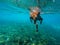 Swimming dog in blue sea water, underwater photo. Dog swim in tropical sea. Summer vacation travel with pet