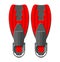 Swimming flippers. Diving equipment.