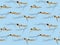 Swimming Freestyle Vector Illustration Seamless Background Wallpaper Pattern-01