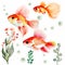 Swimming goldfish with plants and bubbles in watercolor