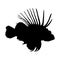 Swimming Lionfish Pterois Volitans On a Side View Silhouette Found In Map Of Western and Central Pacific Ocean.