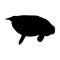 Swimming Manatee Trichechus Manatu On a Side View Silhouette Found In Map Of Florida And Caribbean Ocean