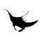 Swimming Manta Ray Manta Birostris On a Front View Silhouette Found In Map Of Ocean All Around The World