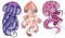 Swimming marine creatures. Colorful jellyfish set. Vector illustration for web design .