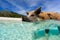 Swimming pig of Exuma island