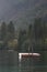 Swimming platform in beautiful nature scenery, Lake Bohinj, Slovenia