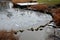 A swimming pond with broken ice in which hardened swimmers have just bathed. wooden pier of the coastal zone with water flora reed