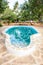 Swimming pool in African Garden