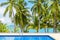 Swimming pool blue water, sea beach poolside, tropical island nature, green palm trees, ocean coast, summer holidays, vacation