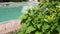 Swimming Pool with clear turquoise water and stairs underwater