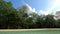 Swimming pool in a garden with exotic trees