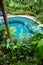 Swimming pool, natural plant screen landscaping