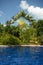 Swimming pool next to verdant palm and other trees and vegetation