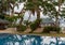 Swimming pool with palm trees in luxury hotel. Tropical resort on island. Pool on seascape background. Exotic relax.