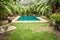 Swimming pool at private tropical villa backyard among tropical formal garden with palm trees and turquoise water