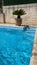 Swimming pool on the rustic style villa. Decorative palms in flower pots. Water texture on a blue background.