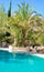 Swimming pool surrounded by plants