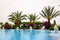 Swimming pool surrounded by tropical foliage an beautiful flowers