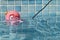 Swimming pool thermometer with octopus head.