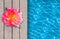 Swimming pool, wooden deck and beautiful flower