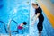 Swimming school for children, woman coach trains kid girl in pool