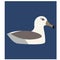 Swimming seagull flat illustration on white