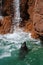 Swimming Seal and Waterfall