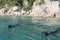 Swimming seals in Abel Tasman National Park