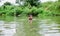 Swimming skills. Refreshing feeling. Man enjoy swimming in river or lake. Submerge into water. Freshness of wild nature