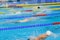 Swimming: A young athletes is swimming in Butterfly Stroke in a