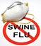 Swine Flu Prevention