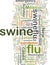 Swine flu wordcloud