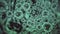 Swine influenza virus H1N1 pathogen inside infected organism. Virus under microscope shown as dark green cells in black