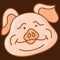 Swine Oink