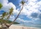 Swing attached to a palm tree in the idyllic Sao beach in Phu Quoc island