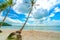 Swing attached to a palm tree in the idyllic Sao beach in Phu Quoc island