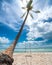 Swing attached to a palm tree in the idyllic Sao beach in Phu Quoc island