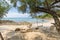 A swing on the beach at samet island in Thailand