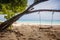 Swing and blue sky and trees gateway to the beach