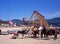 Swing boats and donkeys on Barmouth beach.