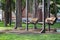 The swing is empty in the park in the summer in Saratov in the square named after Radishchev overlooking Teatralnaya Square, a