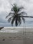 Swing hanging from palm with sign that read