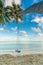 Swing hangs under coconut tree in beautiful tropical Maldives beach in Massfushi Island, Maldives