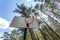 Swing and horizontal bars on playground and basketball court in pine forest