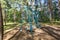 Swing and horizontal bars on playground in pine forest