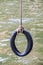 Swing that made from tire tied with rope