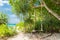 Swing with tree blue sky and clouds background, blue sea and white sand beach on Similan island,