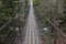 The swinging bridge at Falls Creek Fall in Tennessee is held by strong steel cable