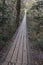 The swinging bridge over the Big Piney waterfall is about fifty yards in length